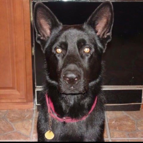 Meet your Posher, Lisa - Picture 1 of 1